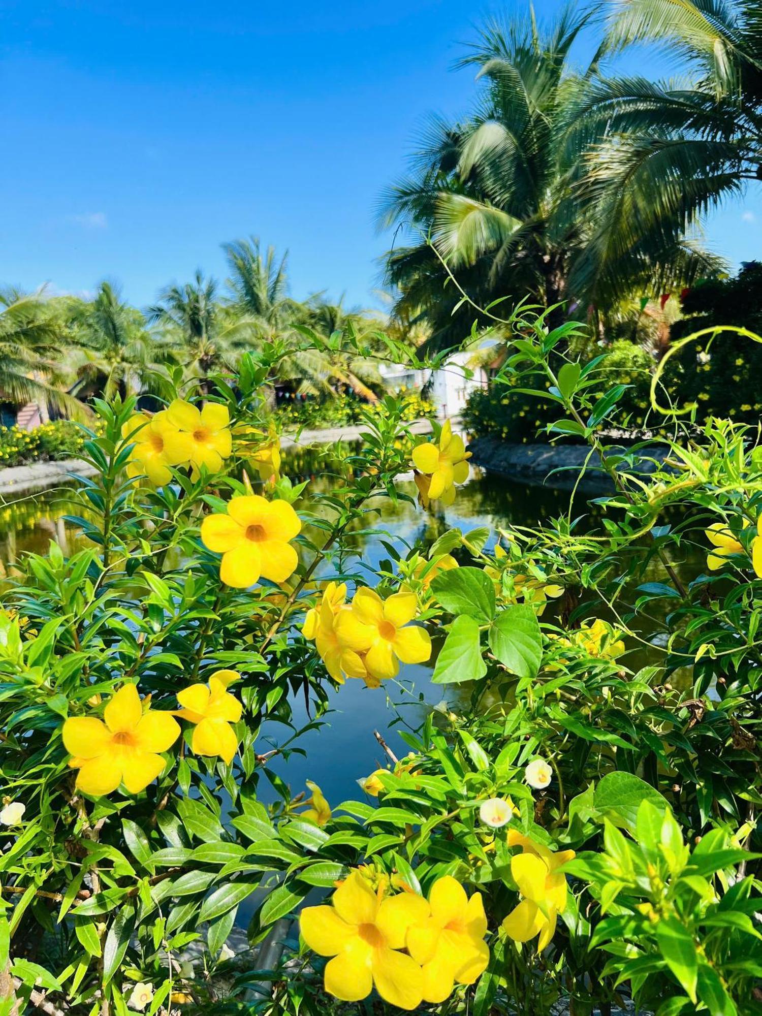 Ho Coc Park & Resort Xa Nhu Lam Kültér fotó